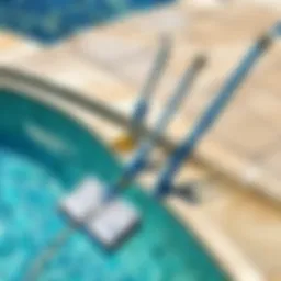 Elegant pool cleaning kit with telescopic pole