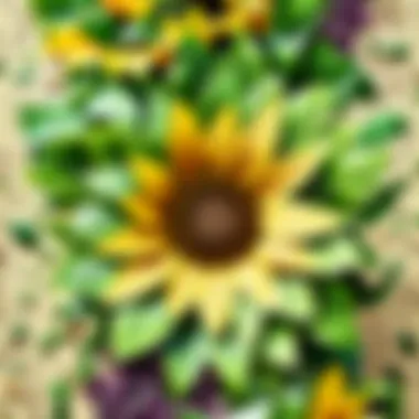 Fresh Green Salad with Sunflower Seed Sprinkle Sunflower Seeds Sprinkled on Fresh Green Salad