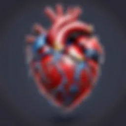 Illustration of heart protector anatomy