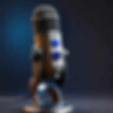 Immersive Gameplay Immersive Gameplay - Blue Yeti Microphone in World of Warcraft