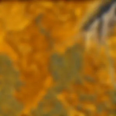 Optimal Questing Routes for Gold A strategic questing route designed for efficient gold acquisition