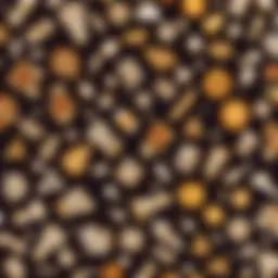 An array of dead reagents on a magical table