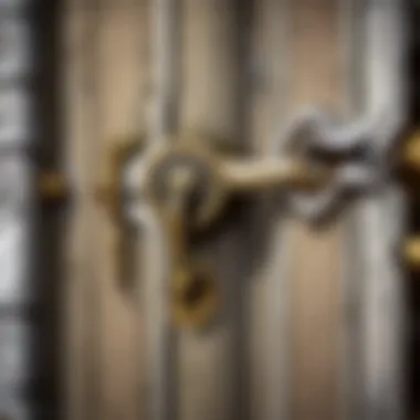 Close-Up of Practice Lock Set Components Detailed view of a practice lock set in World of Warcraft