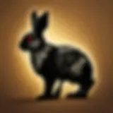 Enigmatic Rabbit Silhouette