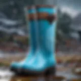 Elsa-inspired Rain Boot Design